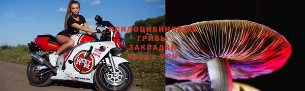 каннабис Алексин