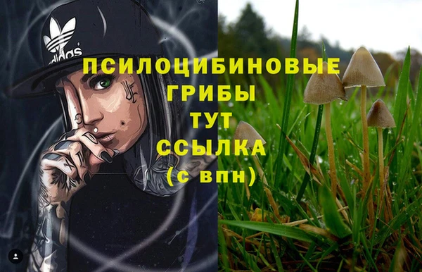 мефедрон Алексеевка