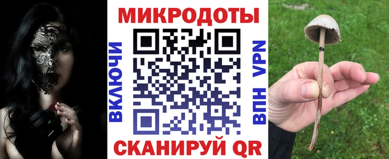 Псилоцибиновые грибы мицелий Закаменск